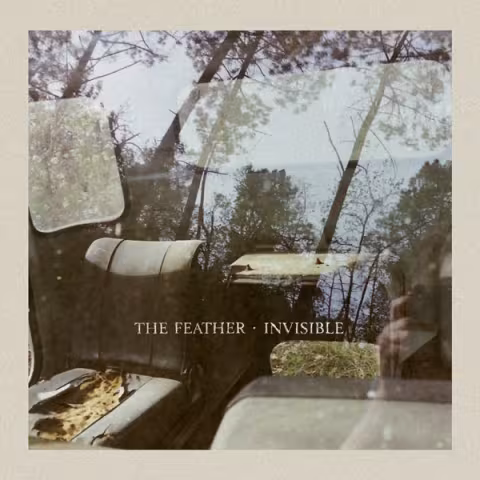 Feather_-_Invisible.jpg
