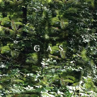 Gas.jpeg