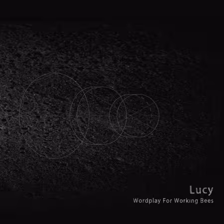 Lucy-Wordplay-For-Working-Bees-450x450.jpg
