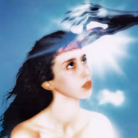 Magdalena_Bay_-_Imaginal_Disk.jpg