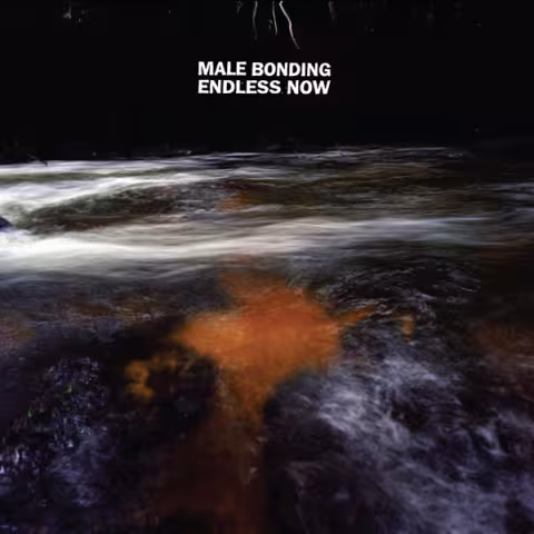 Male-Bonding-Endless-Now.jpg