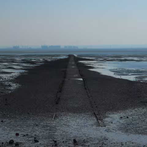R-1421223-1223310417.jpg