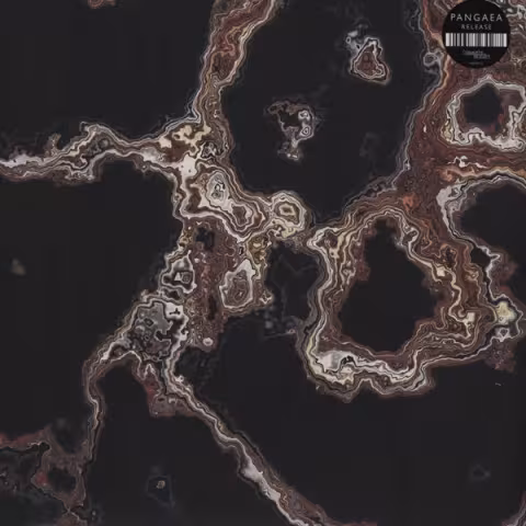 R-3974857-1351114448-1391.jpeg