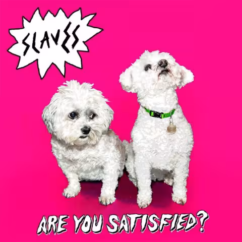 Slaves---Are-You-Satisfied.jpg