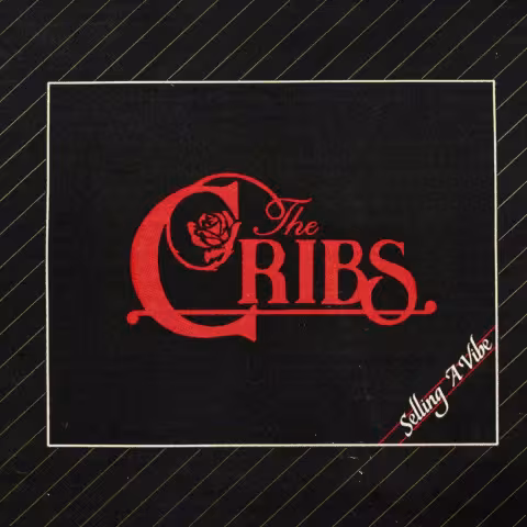 The-Cribs-Selling-a-Vibe.jpg