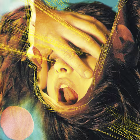 The-Flaming-Lips-Embryonic.jpg