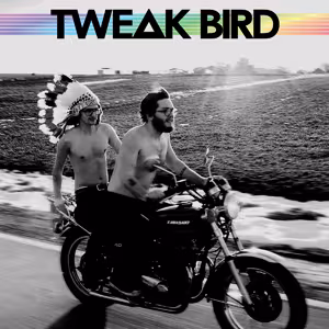 Tweak-Bird.jpg