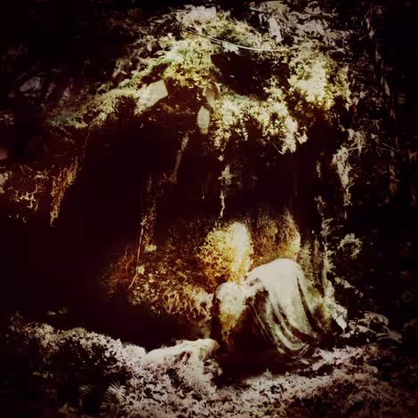 Wolves-in-the-Throne-Room-Celestial-Lineage.jpg