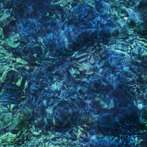 a0232619269_10.jpg