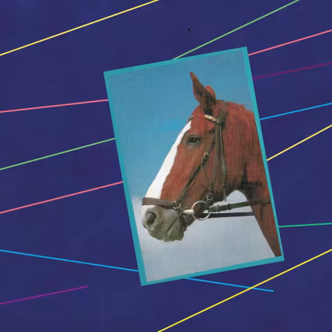 a2595023765_10__1_.jpg