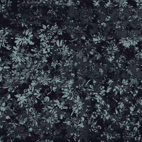 a3532659127_10.jpg