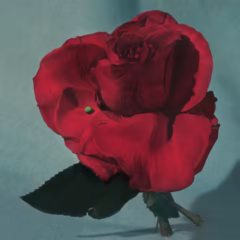 a3972372963_10.jpg