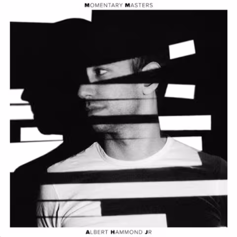 albert-hammond-jr.jpg
