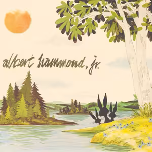alberthammondjr-yourstokeep.jpg