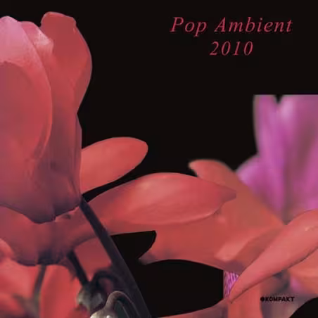 ambient.jpg