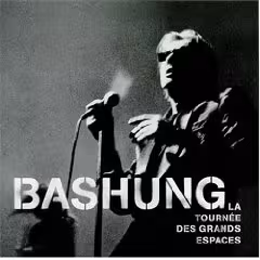 bashung.jpg