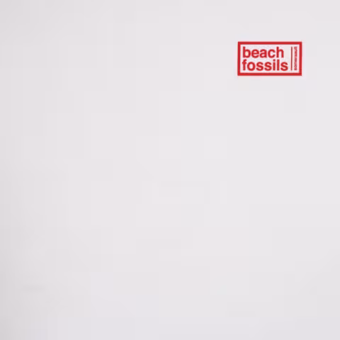 beach-fossils-somersault.jpg