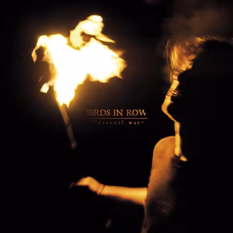 birds_in_row_personal_war_cover.jpg