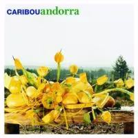 caribou-andorra.jpg