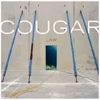 cougar-law.jpg