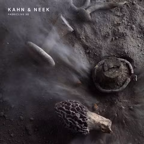 csm_kahn-neek-fabriclive-90_01_7388e620d4.jpg