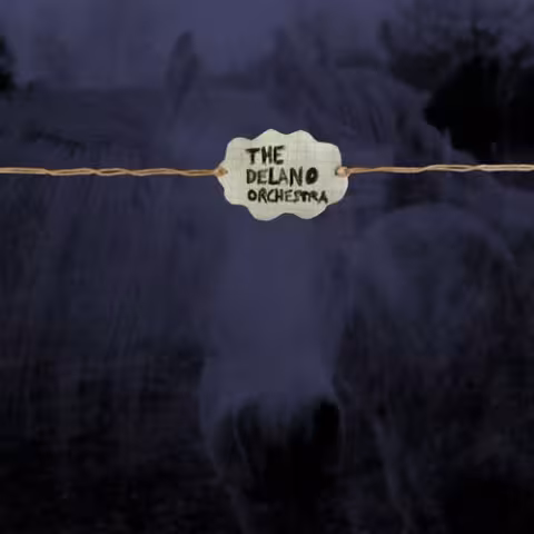 delano_orchestra_2.jpg
