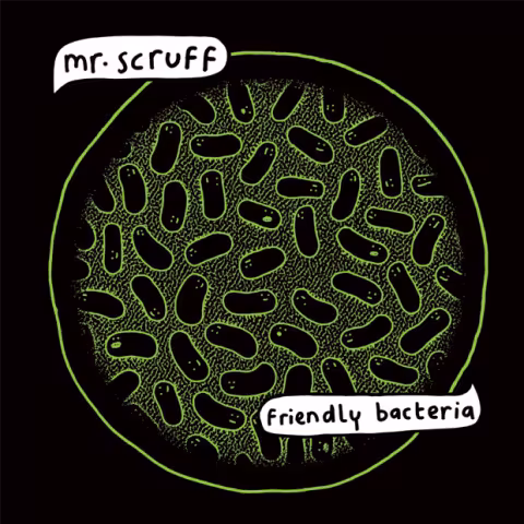 friendlybacteria.jpg