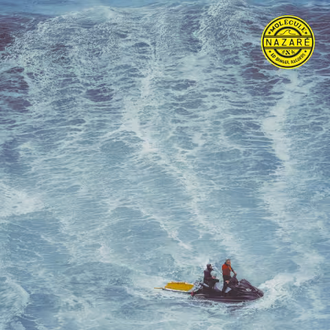 molecule_nazare__.jpg
