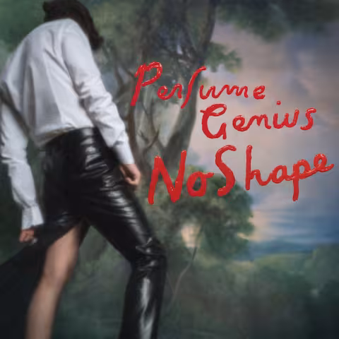 no-shape.jpg