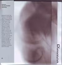 pimmon.JPG