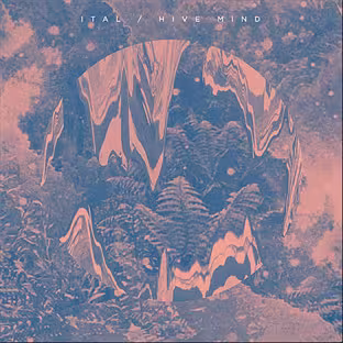 planet-mu-ziq312cd.jpg