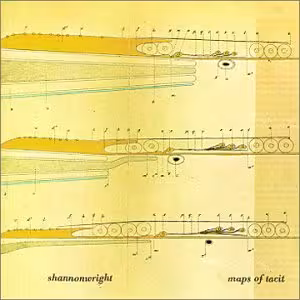 shannon_wright_maps.jpg