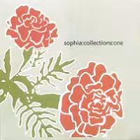 sophia_collections.JPG