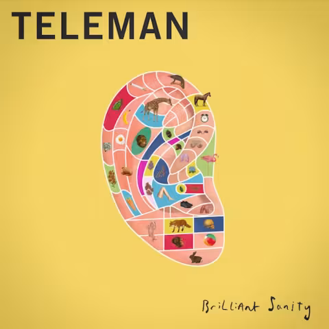 teleman_brilliantsanity.jpg