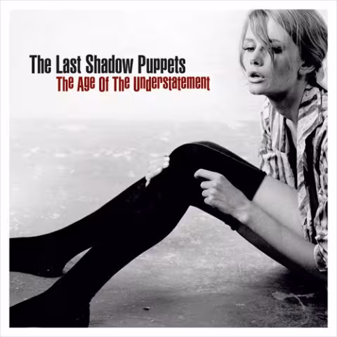 the-last-shadow-puppets-the-age-of-the-understatement.jpg