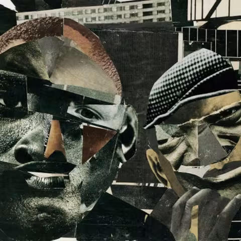 the-roots-and-then-you-shoot-your-cousin-cover-art.jpg