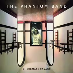 thephantombandcheckmatesavage250.jpg