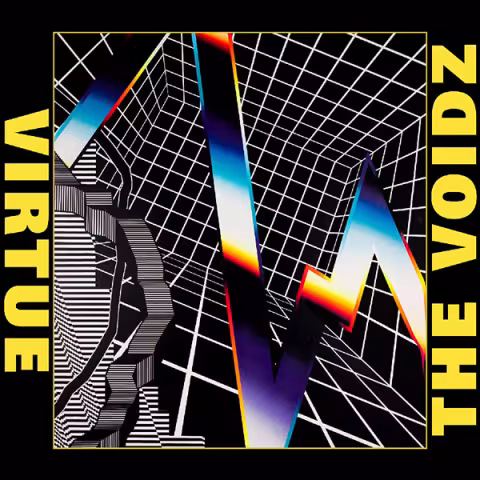 voidzcover.jpg