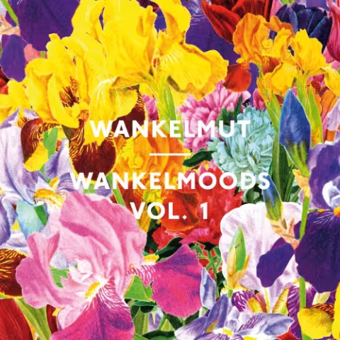 wankelmut-wankelmoods.jpg