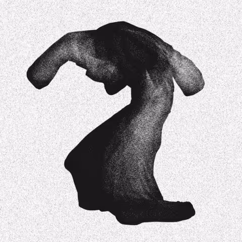 yeasayer-fragrant-world.jpeg