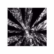 untitled_01.png