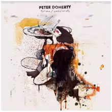 2009_01_31_peter_doherty.jpg