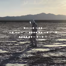 41908785190054.jpg