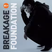 Breakage_Foundation_cover_1MB.jpg
