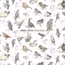 Edwyn_Collins_Losing_Sleep_Album_Art.jpg