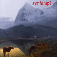 FWF_SerfsUp.jpg