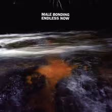 Male-Bonding-Endless-Now.jpg