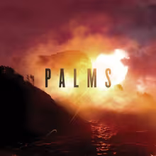 PalmsCover-e1369941094427.jpg