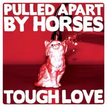 PulledApartByHorsesToughLove600PR251111.jpg