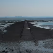 R-1421223-1223310417.jpg